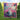 Personalized Couple Quilt – Flamingo Couple Quilt | Cozy Fleece Throw Gift - Amor Custom Gifts