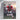 Personalized Georgia Football Player Canvas – Custom Pet Sports Portrait Wall Art, Unique Gift for Cat Lovers