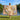Woman holding a Iris & Dragonfly Reverie woven blanket outdoors by a lake