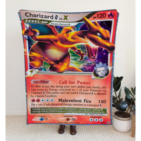 Charizard G Diamond & Pearl Series Blanket 30X40