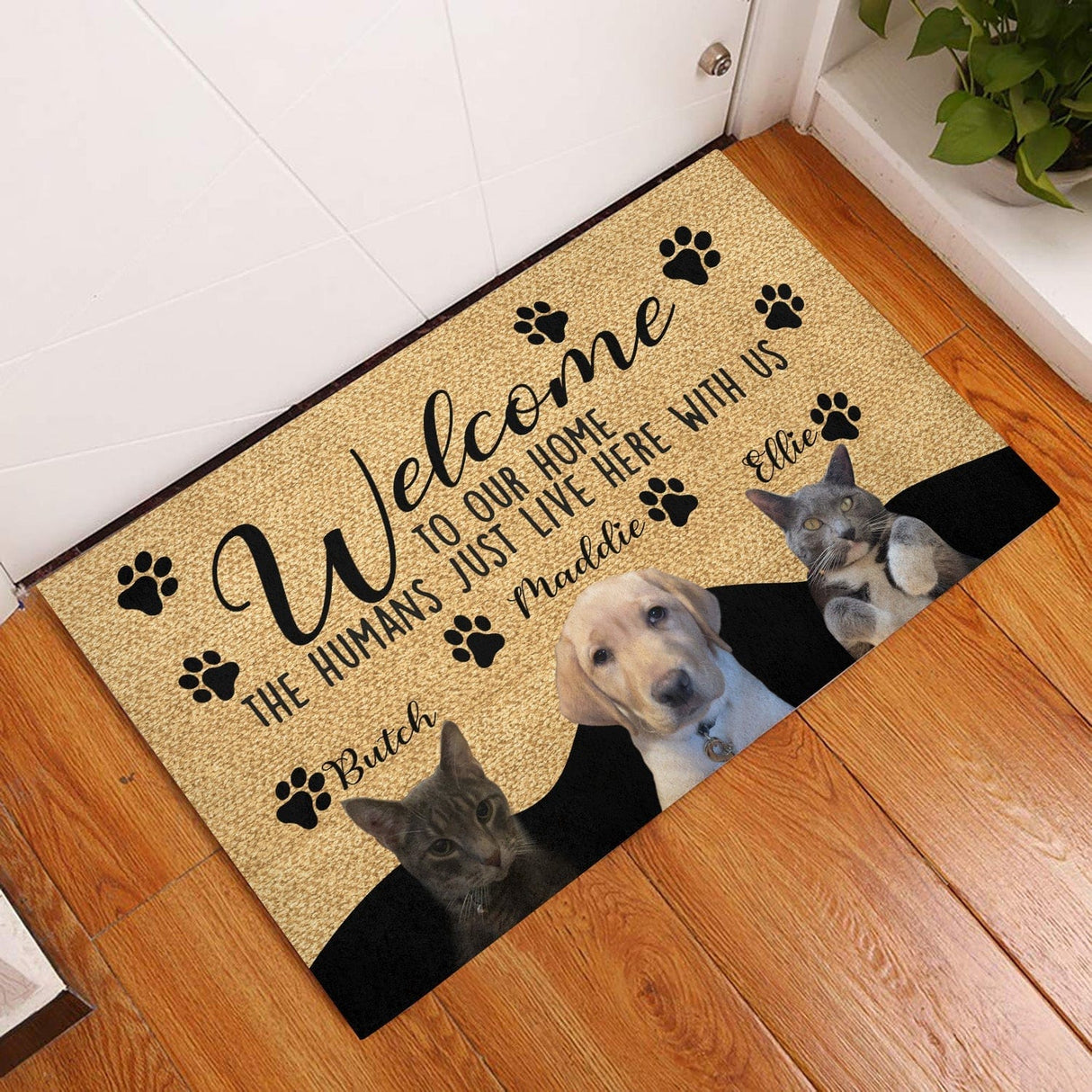 Door Mat Custom The Humans Just Live Here With Us Doormat | Personalized Photo Pet Doormats