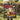 Personalized Sakamoto Days Taro Sakamoto & Shin Debut Woven Blanket, Shonen Jump Anime Manga Throw - mockup 3