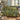 Dragonfly Rush Pool woven blanket with custom family name, home view