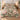 Floral Patchwork Sage Rose comforter set with 2 matching pillowcases on a bed