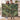 Couple holding the personalized Fern Bower woven blanket