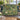 Personalized Frog Lily Pool woven blanket styled in a home setting