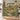 Couple holding the personalized Hellebore Courtyard woven blanket