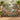 Personalized Terracotta Garden River woven blanket styled in a home setting