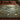 Twin Heron Reed Bend botanical woven blanket spread across a bed