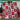Georgia Bulldogs Blanket, UGA Football Snoopy Blanket, College Football Fan Gift, Cozy Fleece Throw