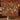 Terracotta Acanthus Thrush Bower woven blanket with custom family name, room view